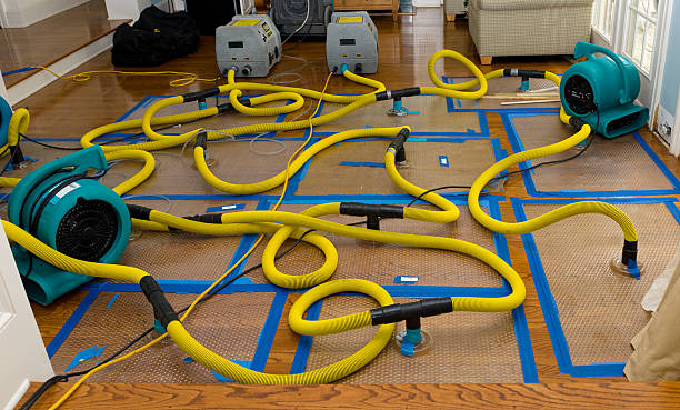 Professional Crawl Space Water Removal technician working in Leopolis, WI